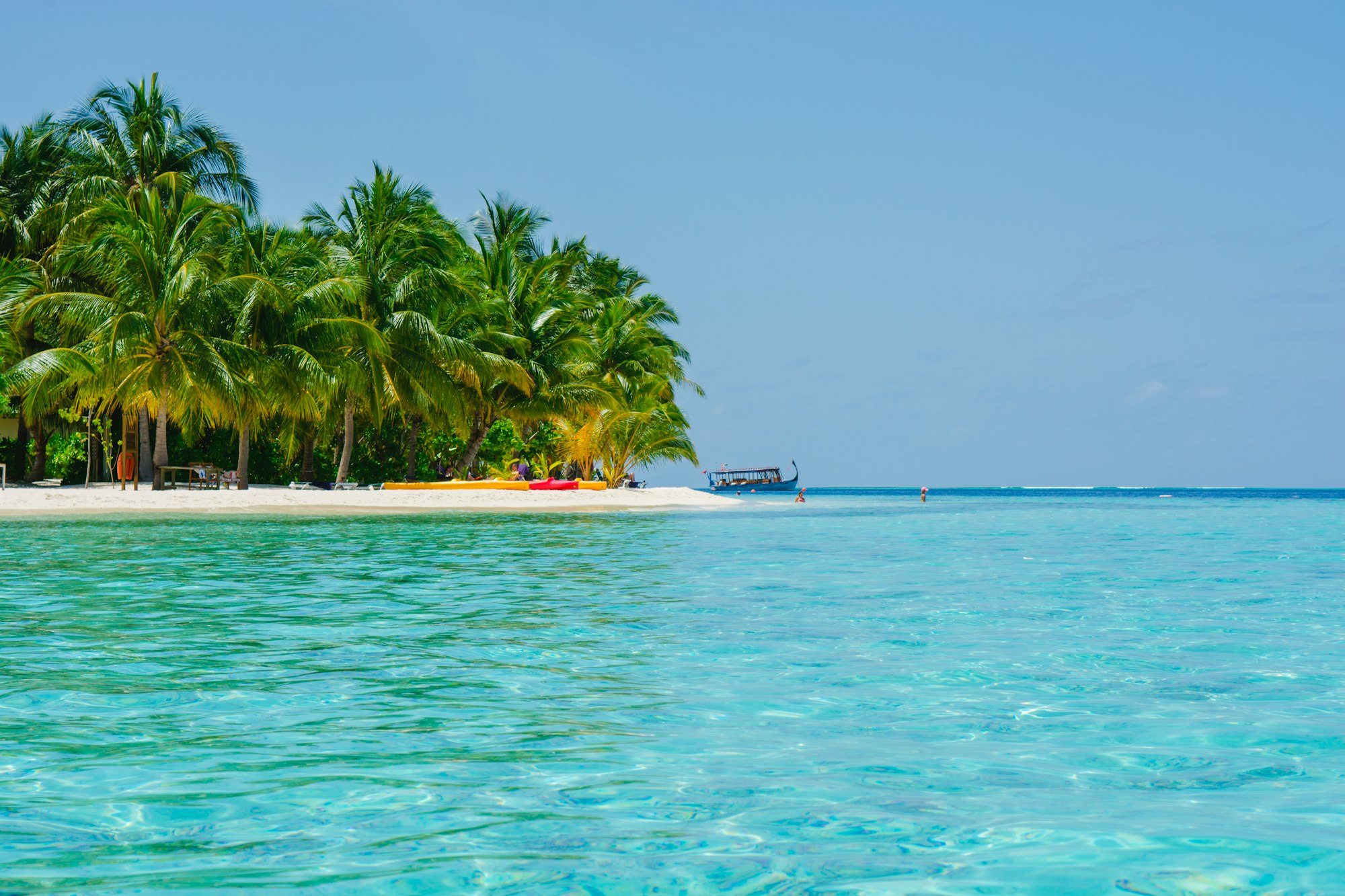 Beautiful view of caribbean sea and Palm Tree tropical island - Boost up color Processing.